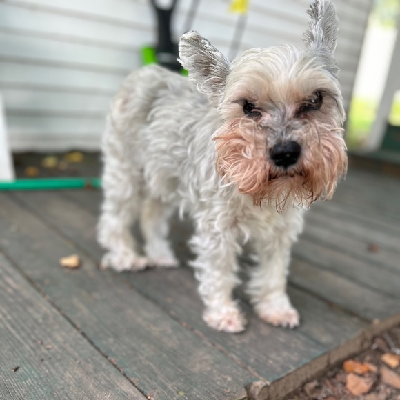 Hats - Picture 1 of 1